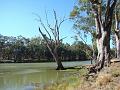 2009-0331-Edward_River,_NSW,_Australia-1430-27C